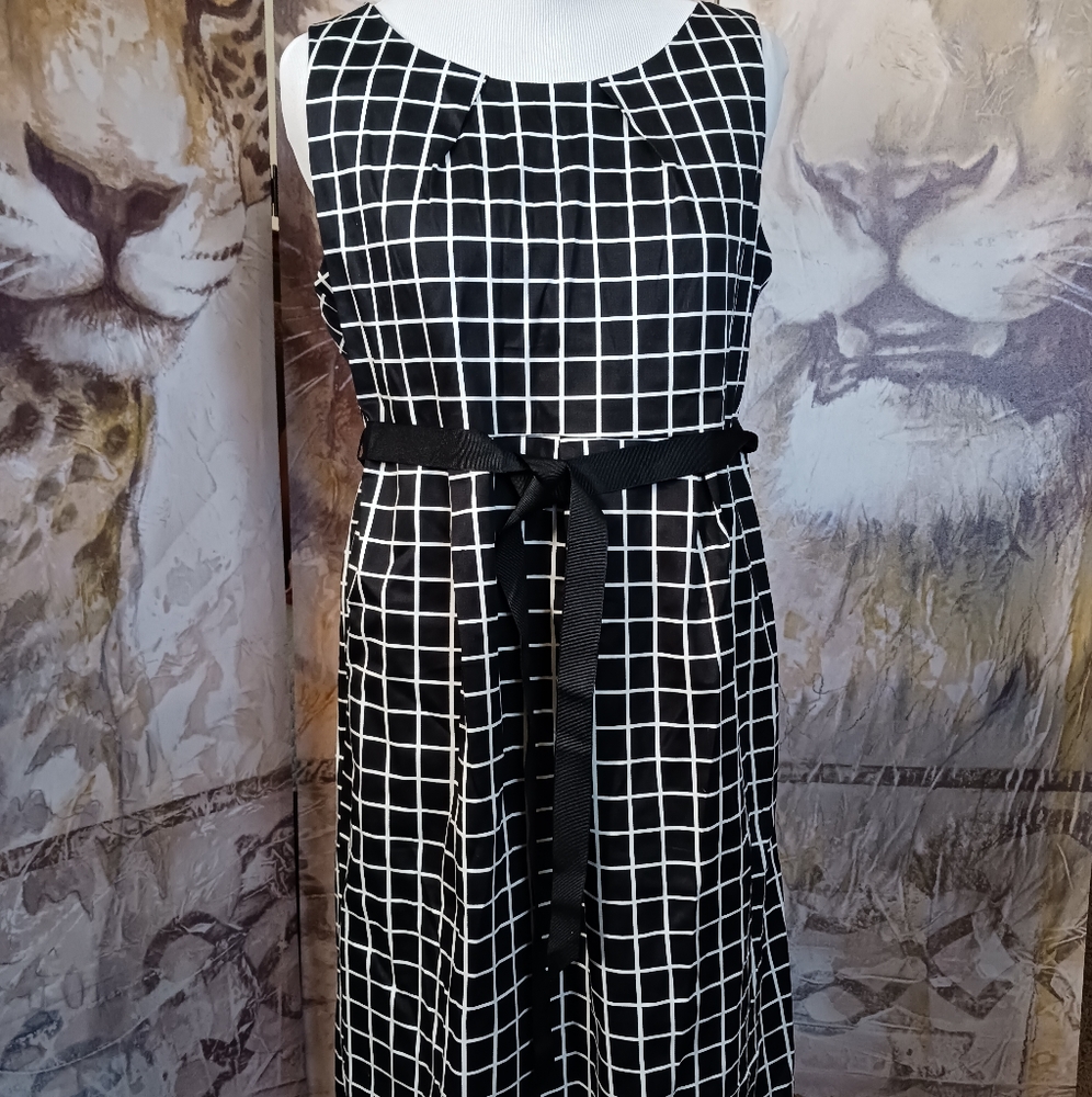 Motherhood Maternity Dress